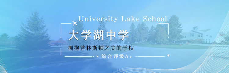 美国大学湖中学