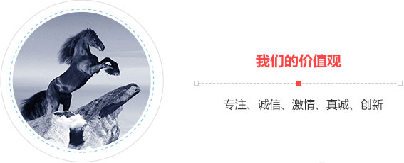 我们的原则,专注、诚信、激情、真诚、创新