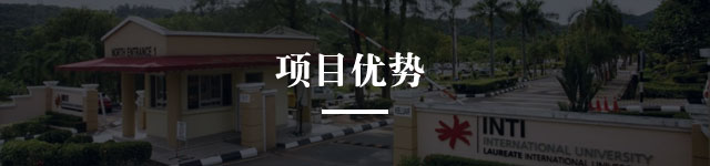 项目优势